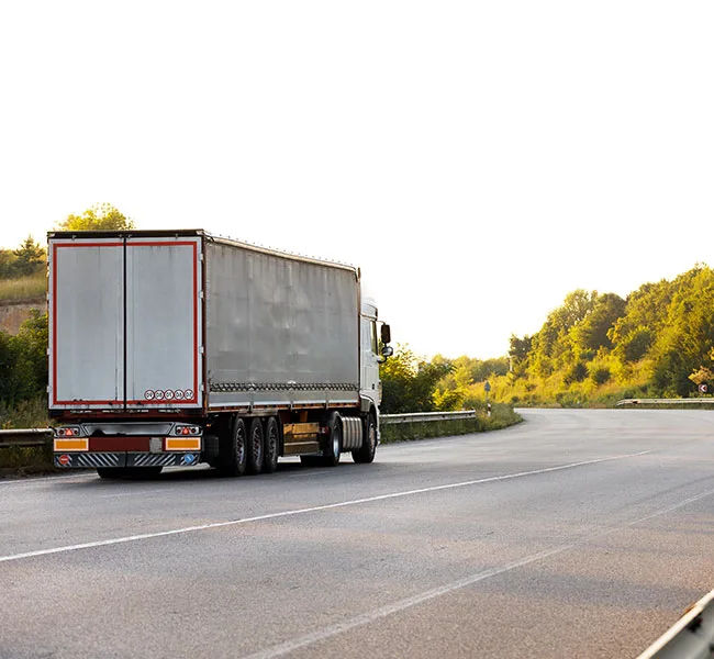 movera professional removalists team