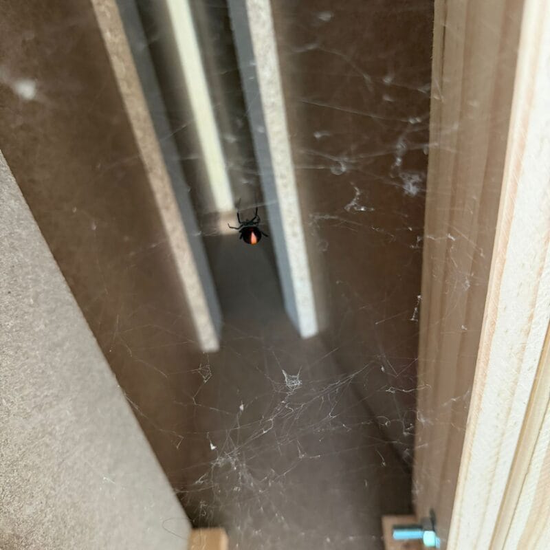 A freiend we met at small move in Sydney